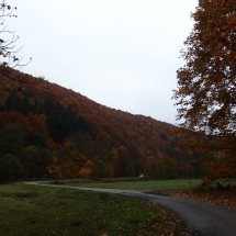 PA288399
