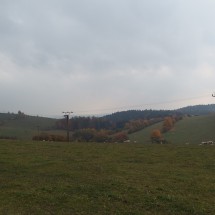 PA288406