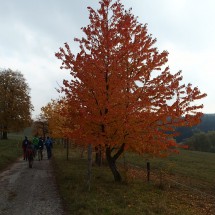 PA288409