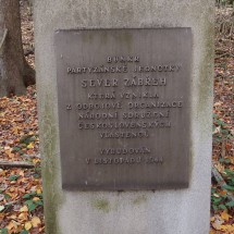 PA288411