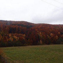 PA308531