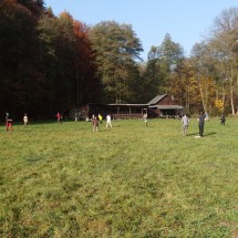PA318655