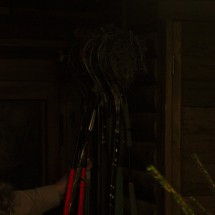 IMG_2017