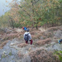20161015_095311 - kopie