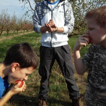 20161015_143526 - kopie