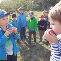 20161015_143824 – kopie