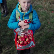 IMG_20161015_141105