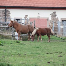 IMG_4423