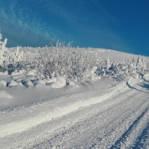 IMG_20170107_084335