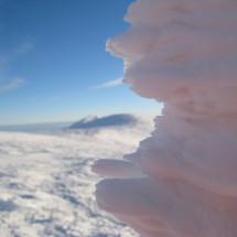 IMG_4489