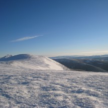 IMG_4490