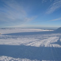 IMG_4491