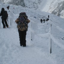 IMG_4506