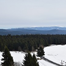 DSC_0987