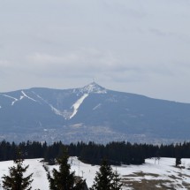 DSC_0988
