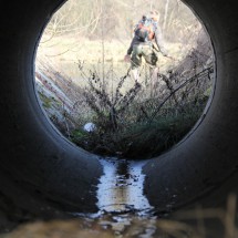 IMG_5424 IMG_5424