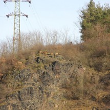 IMG_5459