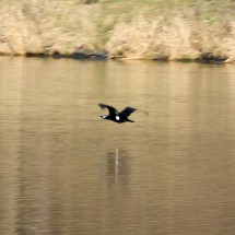 IMG_5470