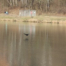 IMG_5474