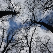 IMG_5230