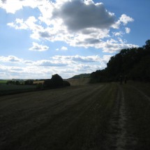 IMG_4833