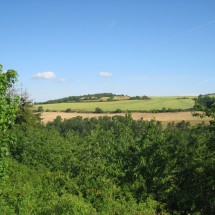 IMG_4849