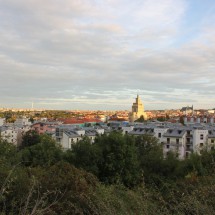 IMG_8343