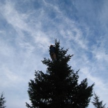 IMG_5726
