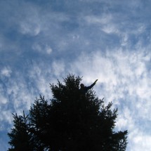 IMG_5728