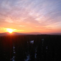 IMG_5739