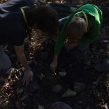 DSC_0011