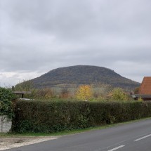 IMG_0299