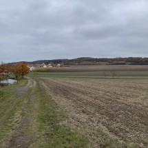 IMG_0310