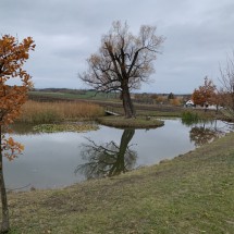 IMG_0311