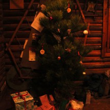 IMG_4535