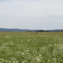 klondike_226