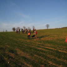 IMG_7081