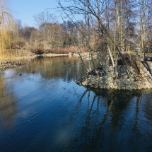 IMG_4885