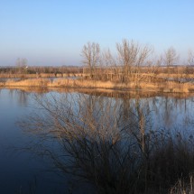IMG_4936