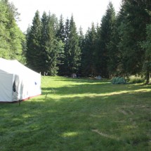 stavecka_2020_07