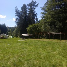 stavecka_2020_13