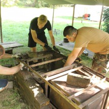 stavecka_2020_17
