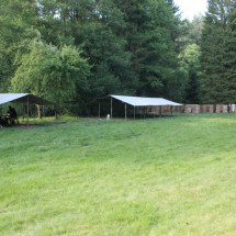 stavecka_2020_19