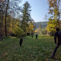 PXL_20211030_093730991