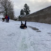 IMG_3411