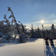 IMG_5255
