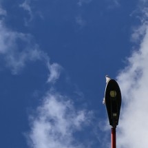 IMG_7414
