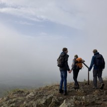 IMG_9978