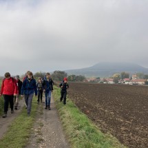 IMG_9991