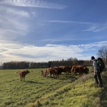 IMG_0637